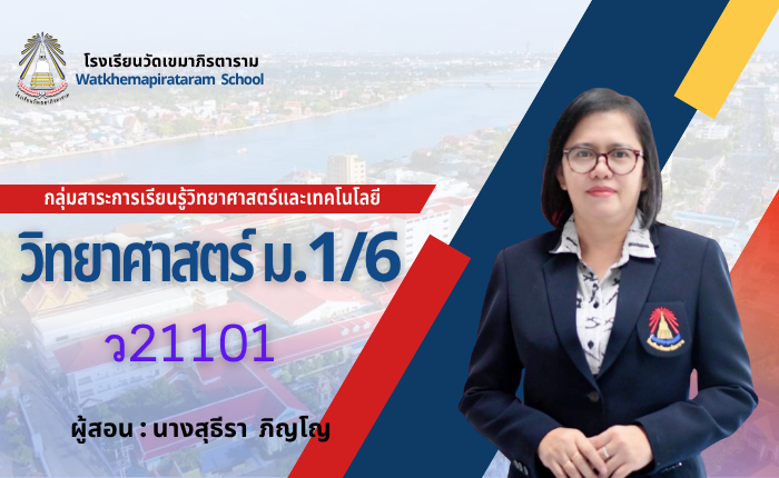 วิทยาศาสตร์พื้นฐาน1 ม.1/6 ภาคเรียนที่ 1